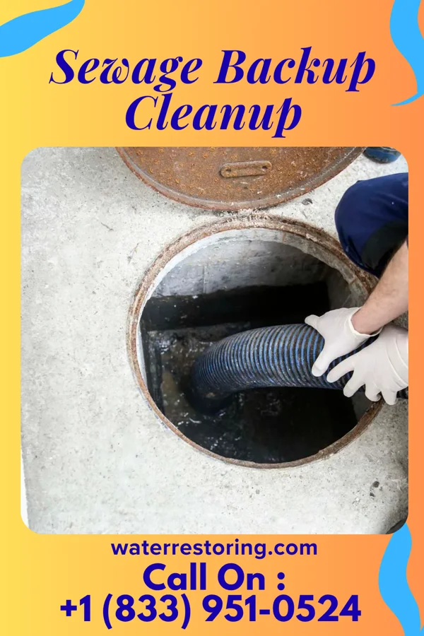 Sewage Backup Cleanup in Crawfordsville, IN