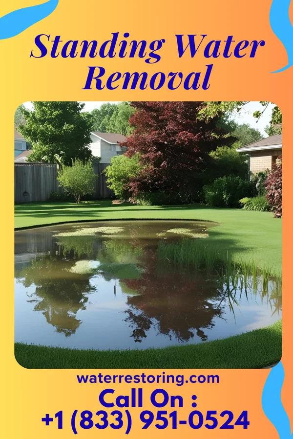 Standing Water Removal in Crawfordsville, IN